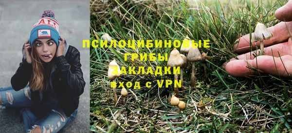 экстази Вяземский