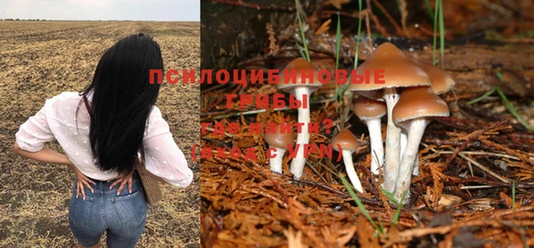 бутират Горно-Алтайск