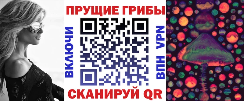наркошоп  Заволжье  Галлюциногенные грибы Magic Shrooms 